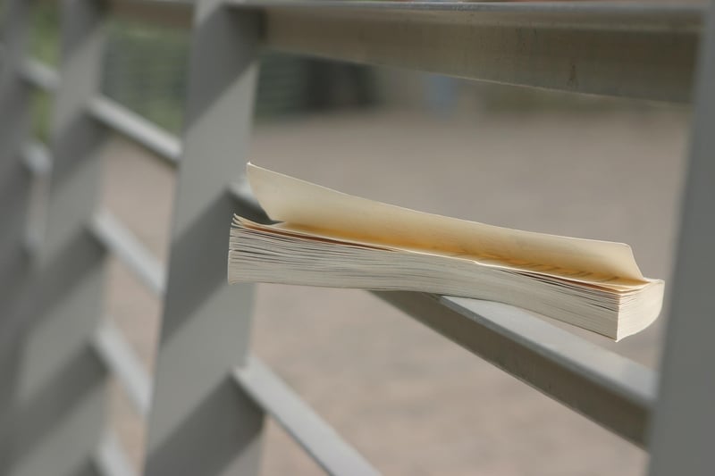 Creative Perspectives